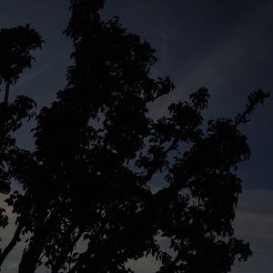 Meet your Posher, Noemi